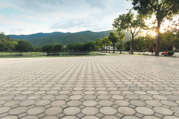 Best Driveway Repair Near Me  in Wake Forest, NC